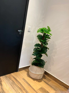 costela de Adão artificial - 1,20 metros - comprar online