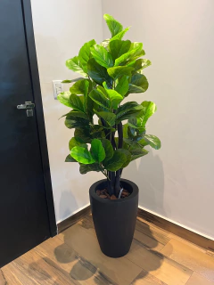 Imagem do Ficus lyrata artificial 1,30 metros