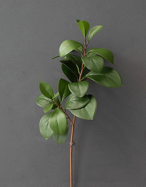 Galho de Eucalipto folha premium - 48cm