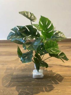 Costela de Adão permanente 66cm - loja online