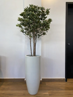 Phitosporo Brasil artificial - 1,40 metros