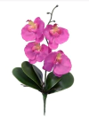 Mini Orquídea permanente - 33cm (Rosa Beauty)