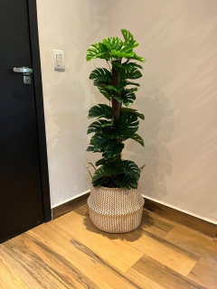 costela de Adão artificial - 1,20 metros