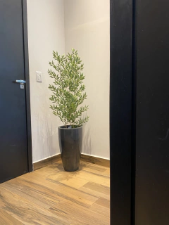 Bambu reto artificial com 3 hastes 1,00 metro completo com vaso na internet