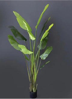 Bananeira permanente 1.90 metros - loja online