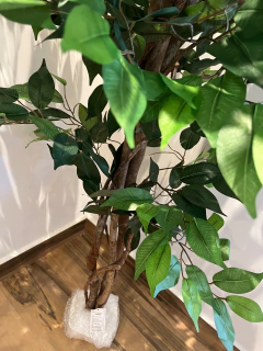 Imagem do Ficus verde artificial 1,50 metros
