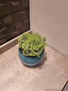 arranjo permanente 15cm - Cristal Garden