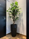 Ficus verde artificial 1,50 metros