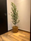 bambu reto 1,50 metros completo com cesto em veludo