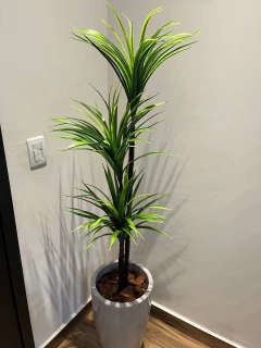Yucca artificial 1,45 metros (Verde) com 3 troncos na internet