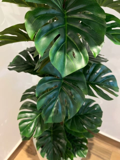 costela de Adão artificial - 1,20 metros - loja online