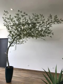 Bambu mosso artificial 3,00 metros curvado para Direita na internet