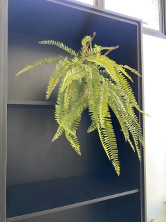 Arranjo samambaia artificial 65cm - Cristal Garden