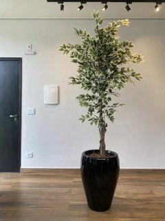 Fícus artificial 2,10 metros (verde / creme) na internet