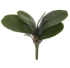 Folha de Orquídea (verde) 24cm