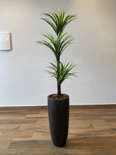Imagem do Yucca artificial 1,45 metros (Verde) com 3 troncos