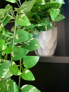 Arranjo jiboia pendente artificial 90cm - loja online