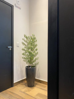 Bambu reto artificial com 3 hastes 1,00 metro completo com vaso - Cristal Garden