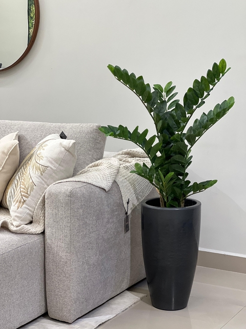 zamioculca artificial 100cm - comprar online