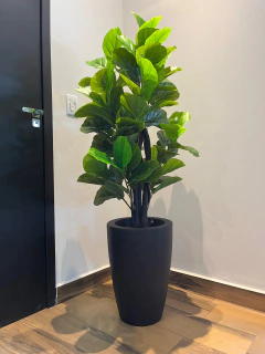 Ficus lyrata artificial 1,30 metros na internet