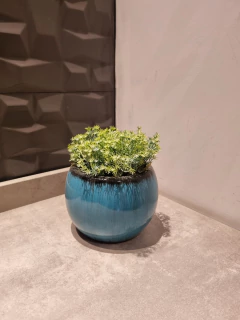 arranjo permanente 15cm