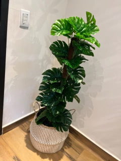 Imagem do costela de Adão artificial - 1,20 metros