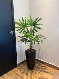 palmeira Rafia Permanente 1,00 metro