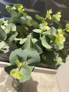 EUCALIPTO ARTIFICIAL (VERDE) 50cm - Cristal Garden