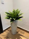 agave permanente - 52cm