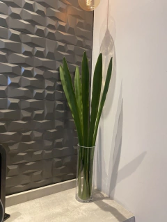 Vaso de vidro com x 7 Folhas de Fórmio permanente - 75cm - loja online