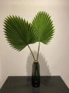 Folha de Latânia artificial - 87cm