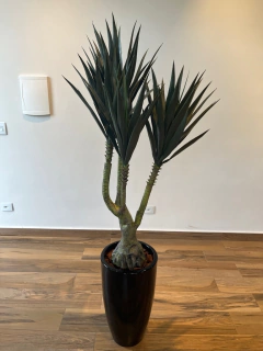 Yucca Artificial 1,50 metros C/ 4 hastes na internet