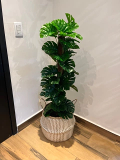 costela de Adão artificial - 1,20 metros - loja online