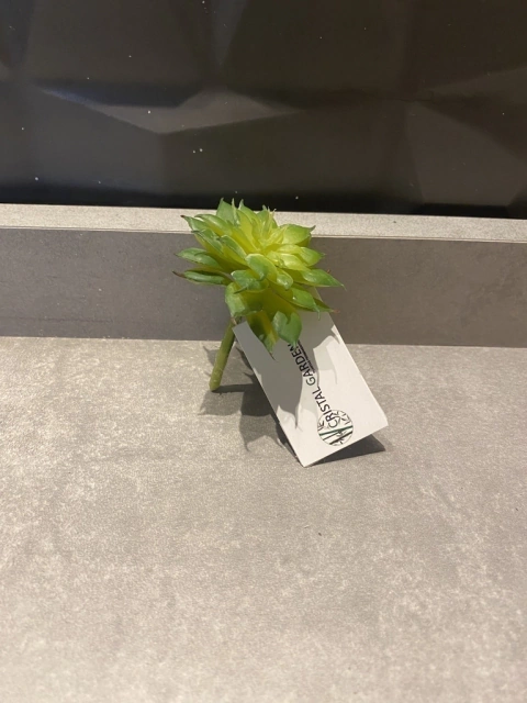 Mini Suculenta artificial - 7cm