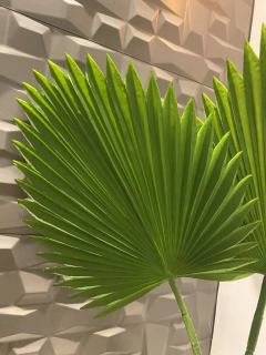 Folha de Latânia artificial - 87cm - loja online