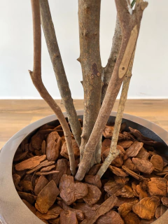 Dracena artificial 1,20 metros - comprar online