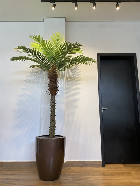 PALMEIRA FÊNIX artificial - 1,80 Metros