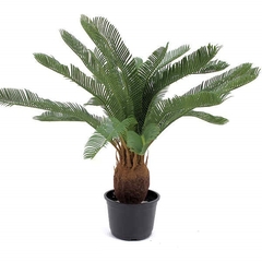 Cyca artificial - 60cm - comprar online
