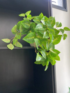 Arranjo pendente coleus artificial - 40cm - comprar online