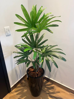 palmeira Rafia Permanente 1,00 metro - Cristal Garden