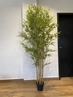 Imagem do BAMBOO RETO / BAMBOO JAPONES ARTIFICIAL 1,90 metros