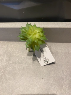 Mini Suculenta artificial - 7cm na internet