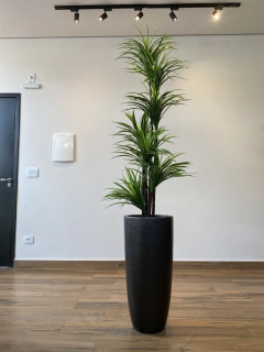 Yucca artificial 1,90 metros na internet