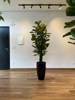 ficus Lyrata artificial 1,85 metros - loja online