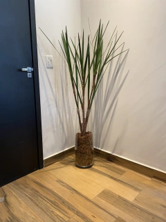 Galho de Junco Permanente 1,25 metros na internet