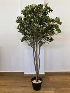 Phitosporo Brasil artificial - 1,40 metros - loja online