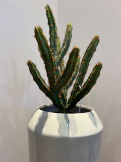 Cacto Artificial 51cm - loja online