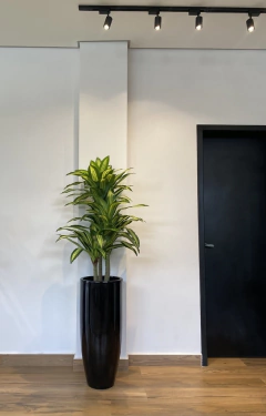 Dracena artificial x3 hastes - 1,15 metros na internet