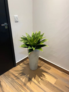 agave permanente - 52cm - comprar online