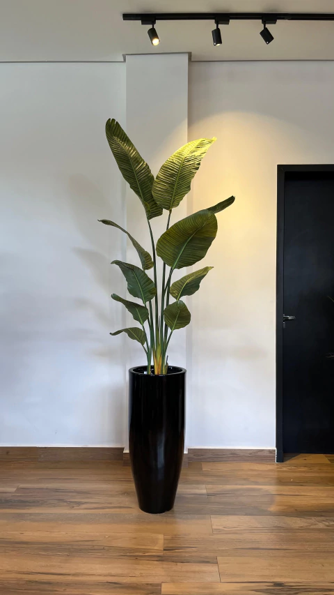 Bananeira permanente 1,60 metros com proteção UV